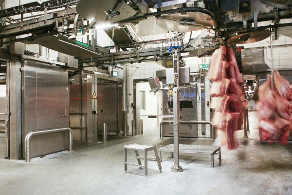 Hængslede døre og skydedøre i rustfri stål sat op i forbindelse med transportsystemer til slagtervarer